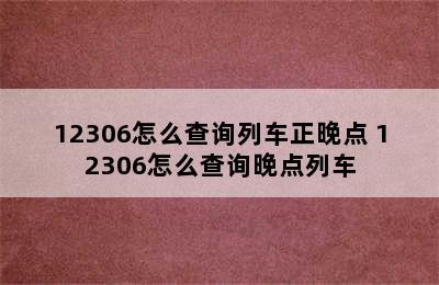 12306怎么查询列车正晚点 12306怎么查询晚点列车